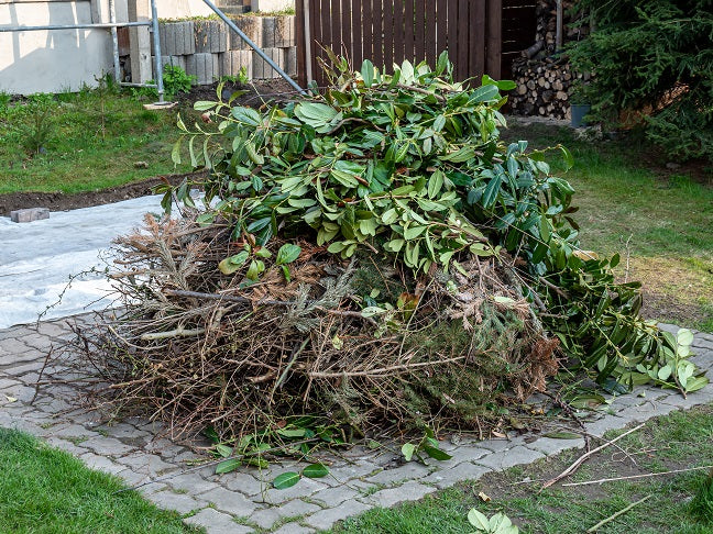 Gartenpflege