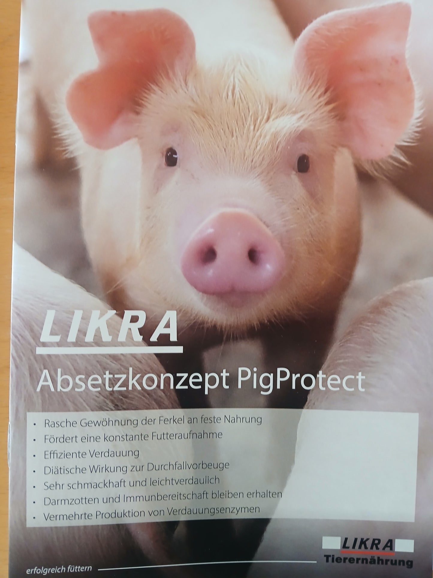 Ferkelaufzucht Perfekt Start 2